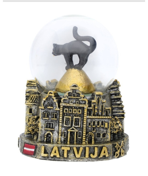 Sniega bumba Latvija ar melnu kaķi
